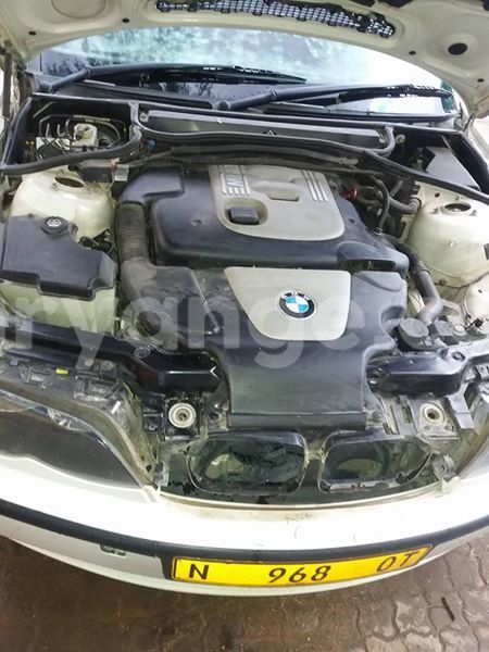 Big with watermark 17795701 10206966928850318 4670280897170890025 n