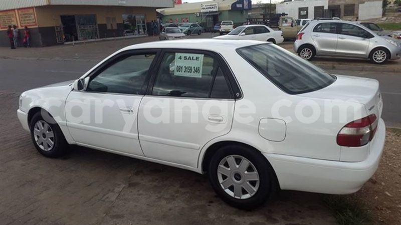 Big with watermark 17523240 446906552317802 3020784409794938775 n