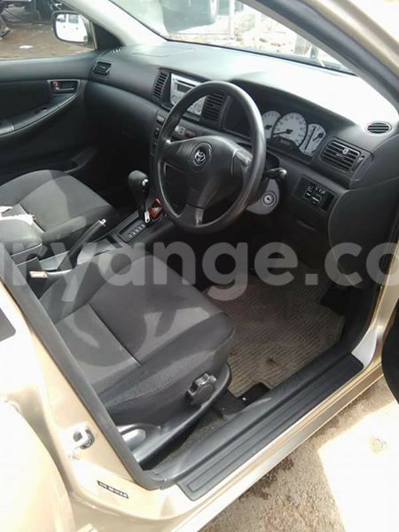 Big with watermark 17795701 10206966928850318 4670280897170890025 n