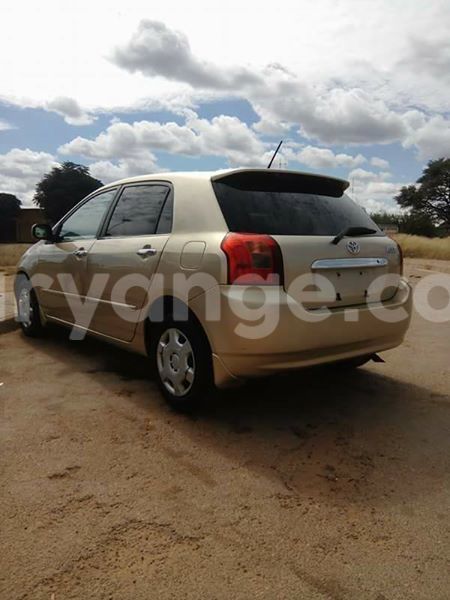 Big with watermark 17523240 446906552317802 3020784409794938775 n