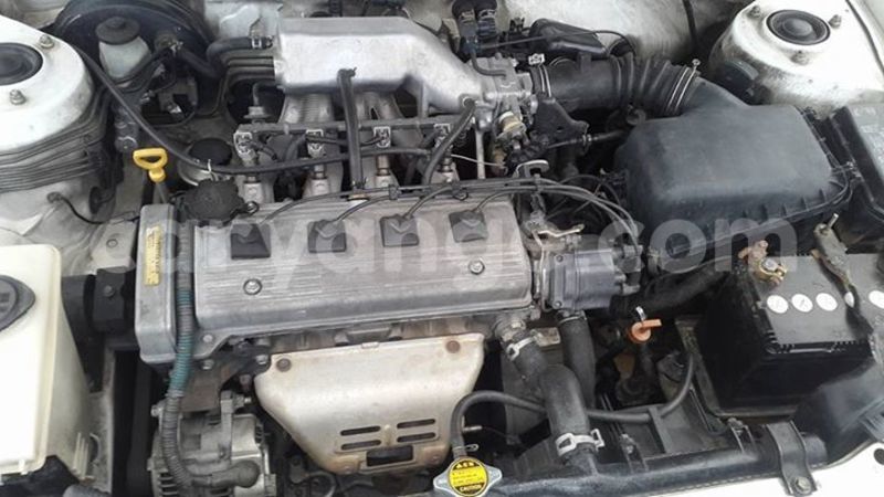 Big with watermark 17796439 1315154081906354 3590367499681648485 n