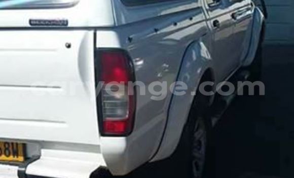 Buy Used Nissan Hardbody White Car in Windhoek in Namibia Buy Used Nissan Hardbody White Car in Windhoek in Namibia