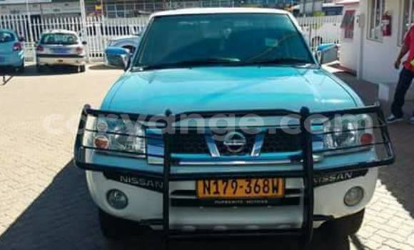 Buy Used Nissan Hardbody White Car in Windhoek in Namibia Buy Used Nissan Hardbody White Car in Windhoek in Namibia