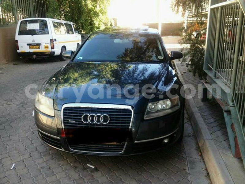 Big with watermark 17795701 10206966928850318 4670280897170890025 n