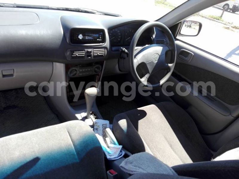 Big with watermark 17796439 1315154081906354 3590367499681648485 n