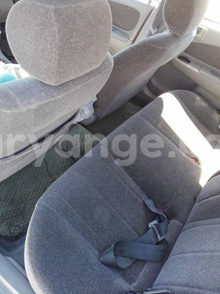 Big with watermark 17796789 902716609870218 4521974656185205947 n