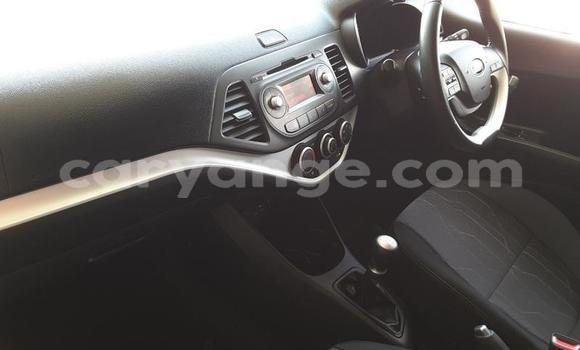 Buy Used Kia Picanto Silver Car in Rundu in Namibia Buy Used Kia Picanto Silver Car in Rundu in Namibia