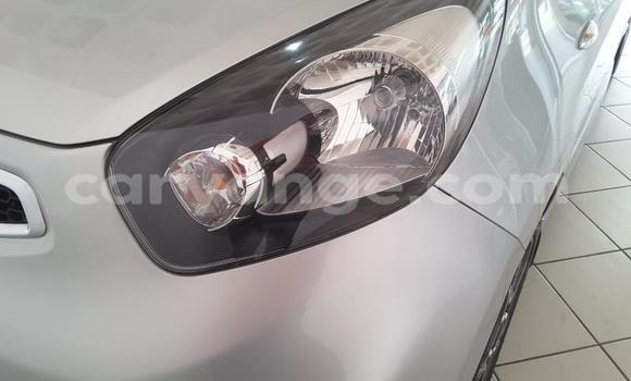 Buy Used Kia Picanto Silver Car in Rundu in Namibia Buy Used Kia Picanto Silver Car in Rundu in Namibia
