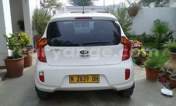 Buy Used Kia Picanto White Car in Windhoek in Namibia