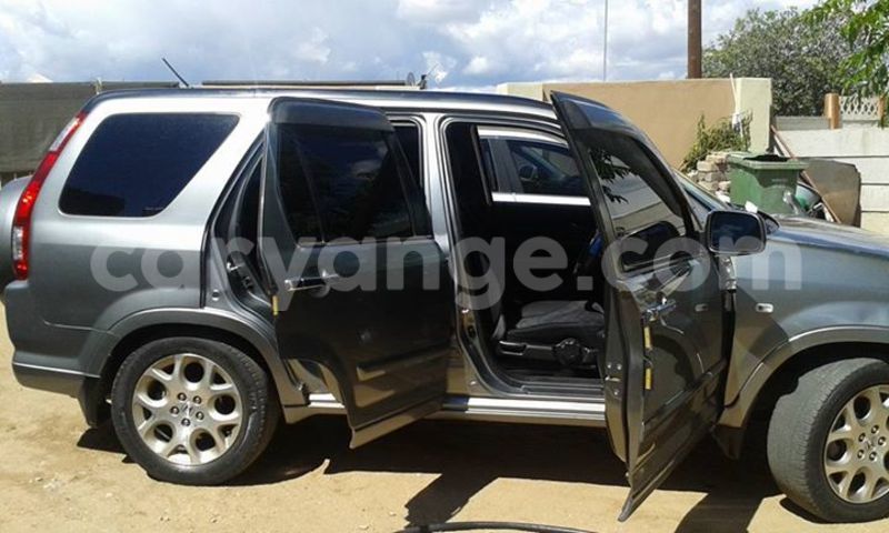 Big with watermark 17795701 10206966928850318 4670280897170890025 n