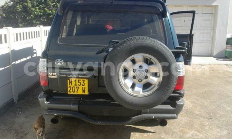 Big with watermark 17523240 446906552317802 3020784409794938775 n