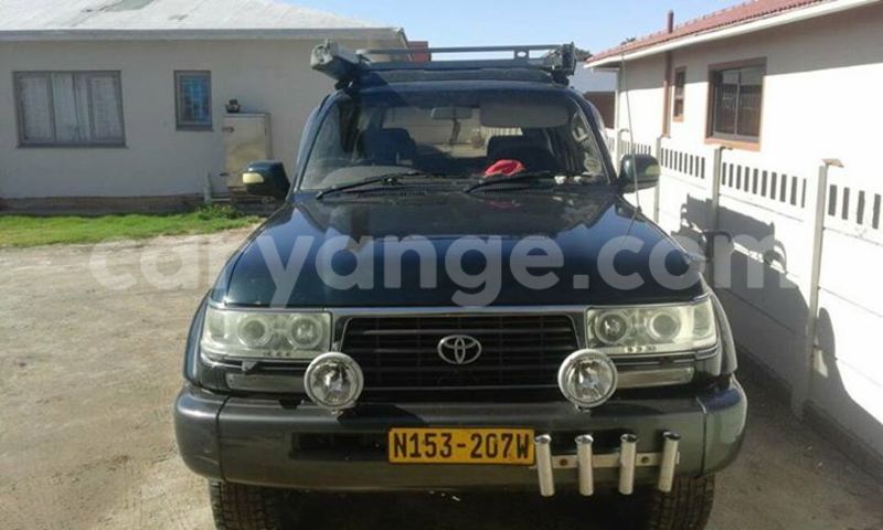 Big with watermark 17795701 10206966928850318 4670280897170890025 n