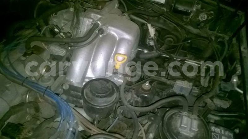 Big with watermark 17796789 902716609870218 4521974656185205947 n