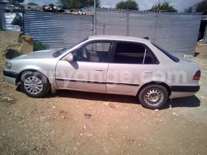 Big with watermark 17796439 1315154081906354 3590367499681648485 n