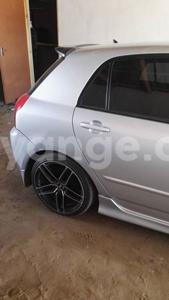 Big with watermark 17796439 1315154081906354 3590367499681648485 n