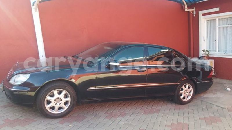 Big with watermark 17523240 446906552317802 3020784409794938775 n