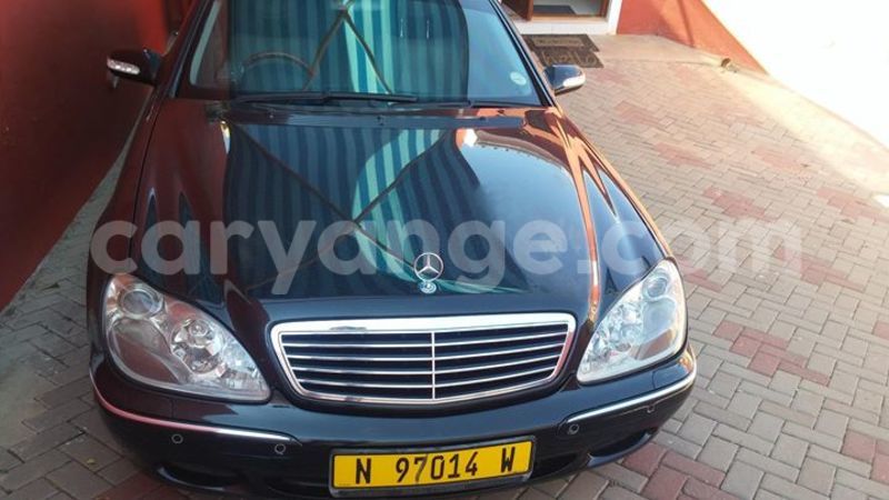 Big with watermark 17795701 10206966928850318 4670280897170890025 n