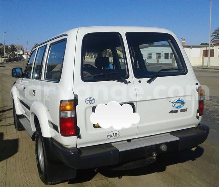 Big with watermark 17795701 10206966928850318 4670280897170890025 n