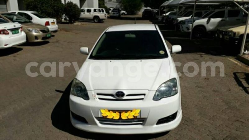 Big with watermark 17795701 10206966928850318 4670280897170890025 n