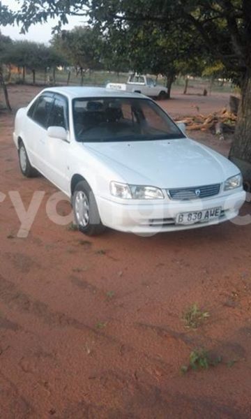 Big with watermark 17523240 446906552317802 3020784409794938775 n