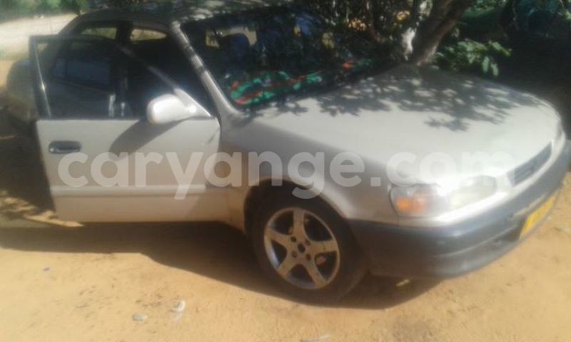 Big with watermark 17523240 446906552317802 3020784409794938775 n