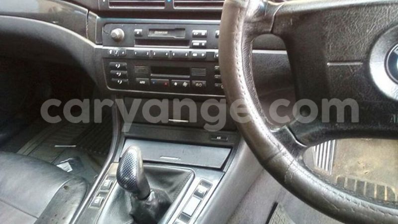 Big with watermark 17795701 10206966928850318 4670280897170890025 n