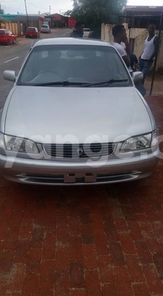 Big with watermark 17523240 446906552317802 3020784409794938775 n