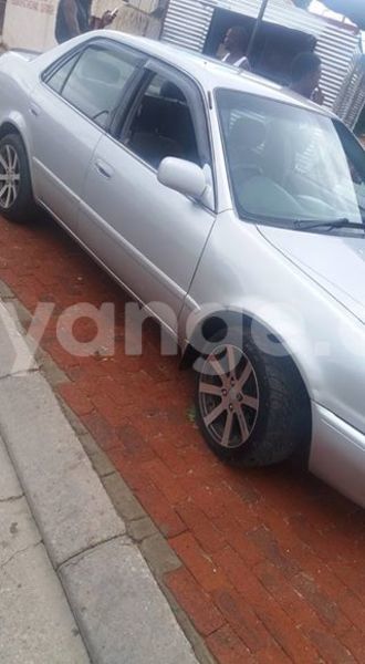 Big with watermark 17795701 10206966928850318 4670280897170890025 n