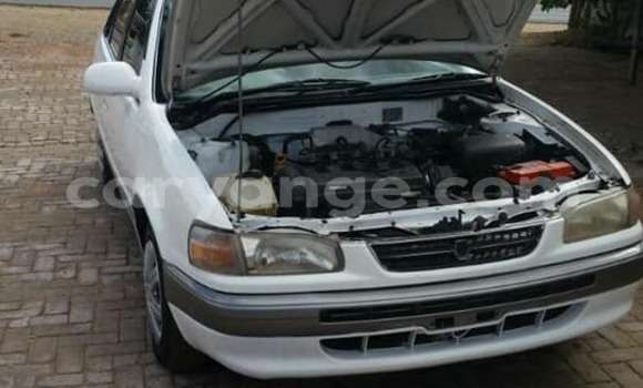 Buy Used Toyota Corolla White Car in Windhoek in Namibia Buy Used Toyota Corolla White Car in Windhoek in Namibia