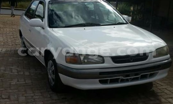 Buy Used Toyota Corolla White Car in Windhoek in Namibia Buy Used Toyota Corolla White Car in Windhoek in Namibia