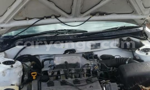 Buy Used Toyota Corolla White Car in Windhoek in Namibia Buy Used Toyota Corolla White Car in Windhoek in Namibia