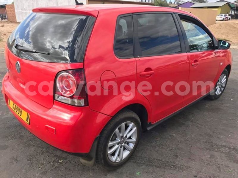 Big with watermark 17795701 10206966928850318 4670280897170890025 n