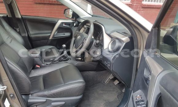Buy Used Toyota RAV4 Brown Car in Windhoek in Namibia Buy Used Toyota RAV4 Brown Car in Windhoek in Namibia