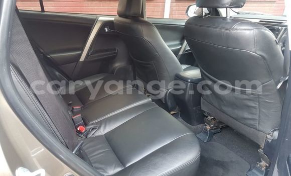 Buy Used Toyota RAV4 Brown Car in Windhoek in Namibia Buy Used Toyota RAV4 Brown Car in Windhoek in Namibia