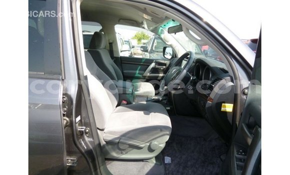 Acheter Import Voiture Toyota Land Cruiser Autre à Import - Dubai, Namibie Acheter Import Voiture Toyota Land Cruiser Autre à Import - Dubai, Namibie