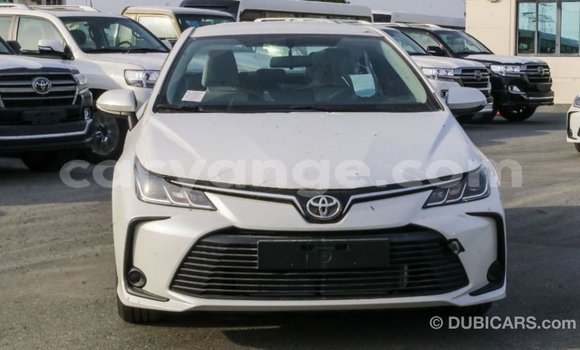 Buy Import Toyota Corolla White Car in Import - Dubai in Namibia Buy Import Toyota Corolla White Car in Import - Dubai in Namibia