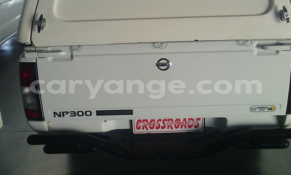 Buy Used Nissan Hardbody White Car in Swakopmund in Namibia Buy Used Nissan Hardbody White Car in Swakopmund in Namibia