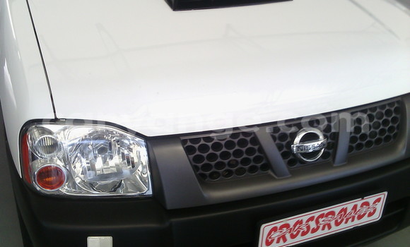 Buy Used Nissan Hardbody White Car in Swakopmund in Namibia Buy Used Nissan Hardbody White Car in Swakopmund in Namibia