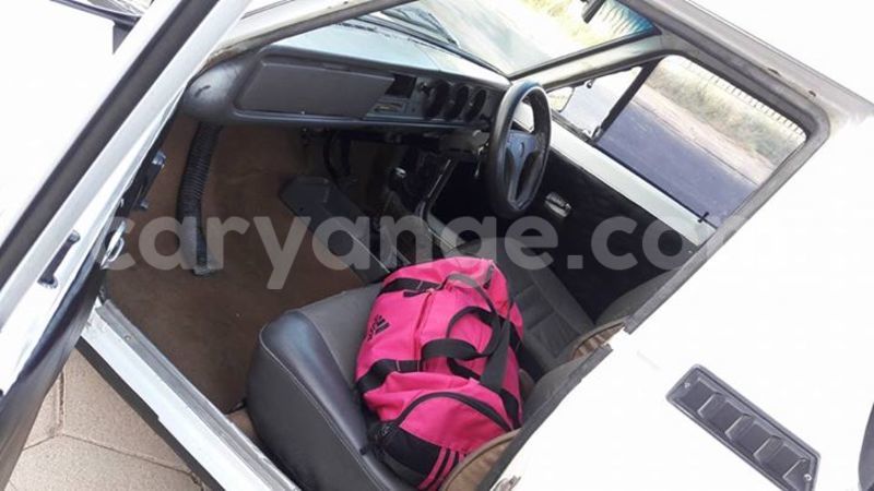 Big with watermark 18198775 441552836180398 1967558586203381998 n