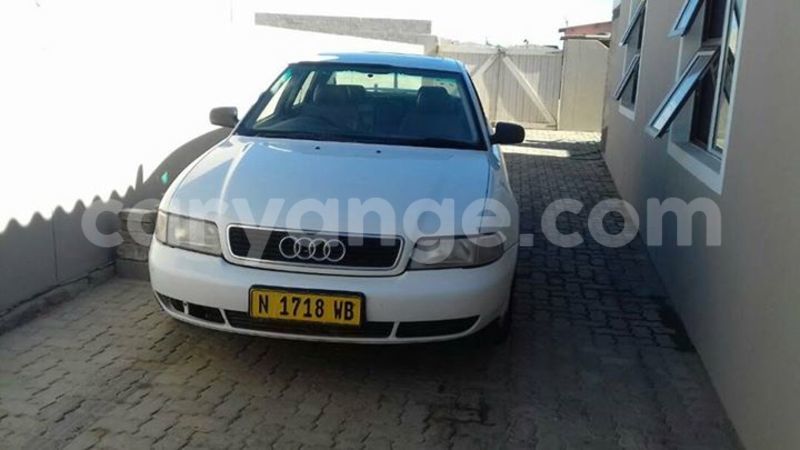 Big with watermark 18198775 441552836180398 1967558586203381998 n