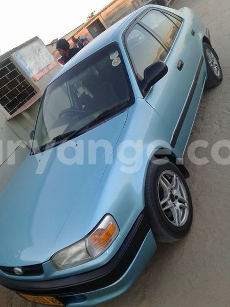 Big with watermark 18193361 441552852847063 996815405115009270 o