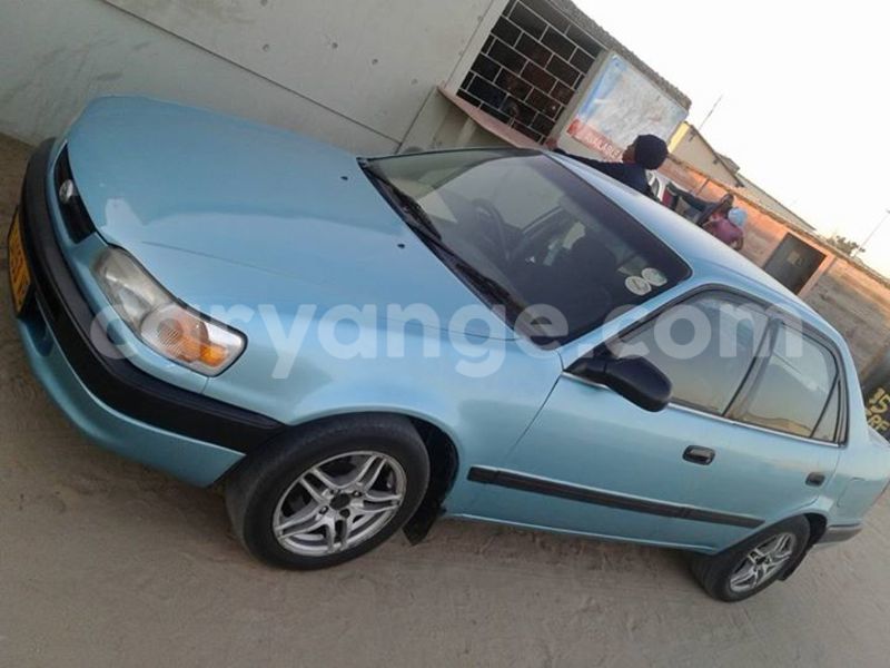 Big with watermark 18209031 441552849513730 6016981892996171860 o