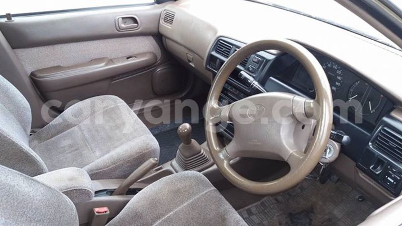 Big with watermark 18198775 441552836180398 1967558586203381998 n