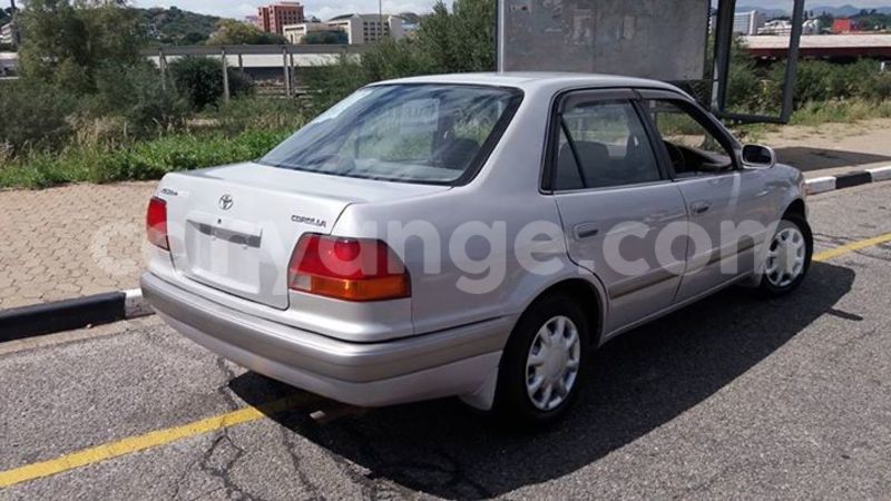 Big with watermark 18209110 441552839513731 2020861592493904555 o