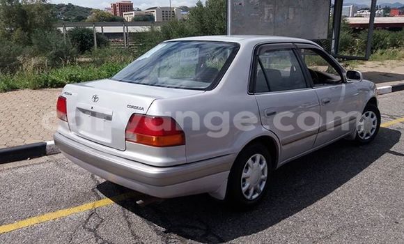 Buy Used Toyota Corolla Silver Car in Windhoek in Namibia Buy Used Toyota Corolla Silver Car in Windhoek in Namibia