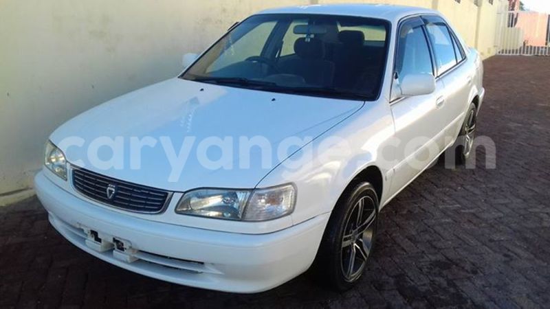 Big with watermark 18198775 441552836180398 1967558586203381998 n