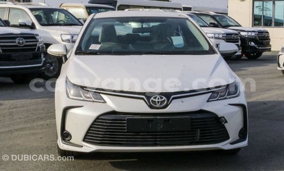 Buy Import Toyota Corolla White Car in Import - Dubai in Namibia Buy Import Toyota Corolla White Car in Import - Dubai in Namibia