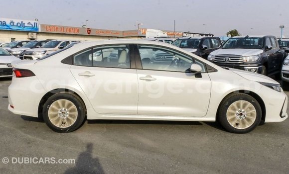 Buy Import Toyota Corolla White Car in Import - Dubai in Namibia Buy Import Toyota Corolla White Car in Import - Dubai in Namibia