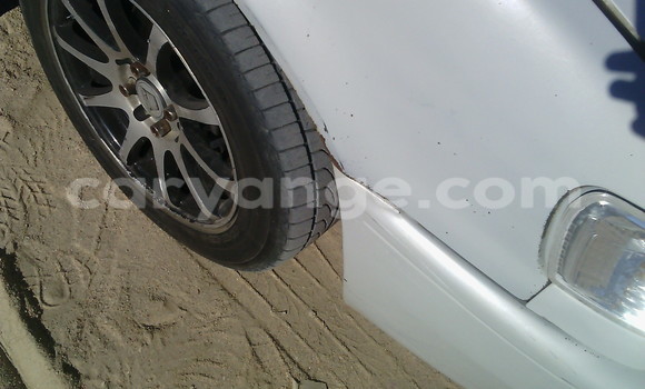 Buy New Fiat Punto Silver Car in Swakopmund in Namibia