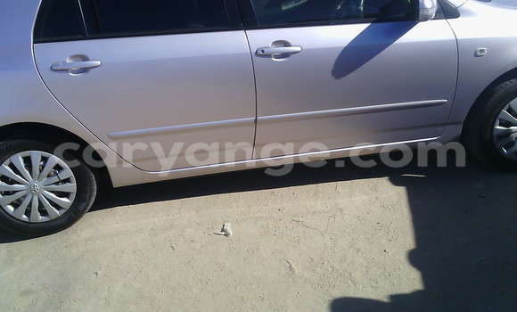 Buy New Fiat Punto Silver Car in Swakopmund in Namibia Buy New Fiat Punto Silver Car in Swakopmund in Namibia